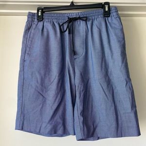 Blue Zara shorts